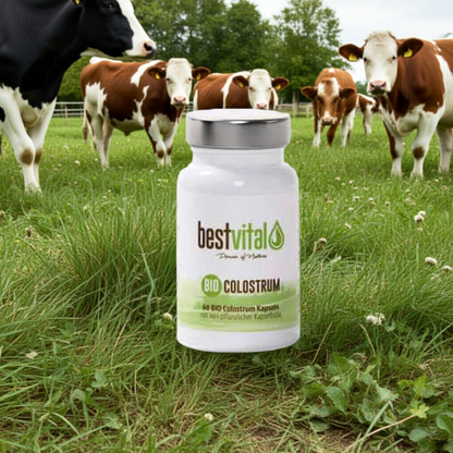 Colostrum eko
